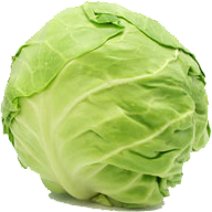cabbage-white.png